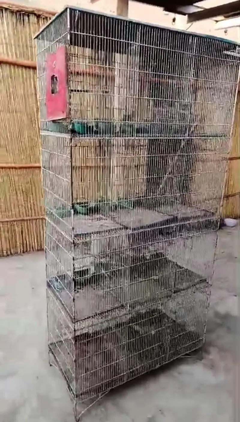 Birds cage 12 portion breeding or finch budgies lovebirds — photo 6