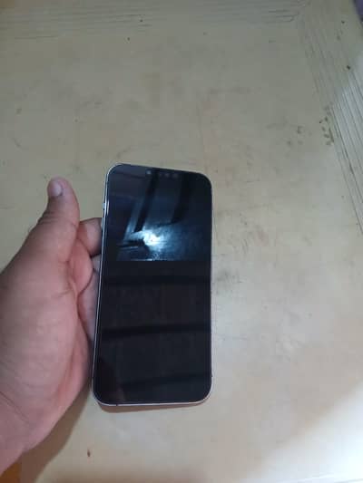 Apple iPhone 13 Pro Max  read add