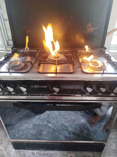 Skyflame 5 burner Oven