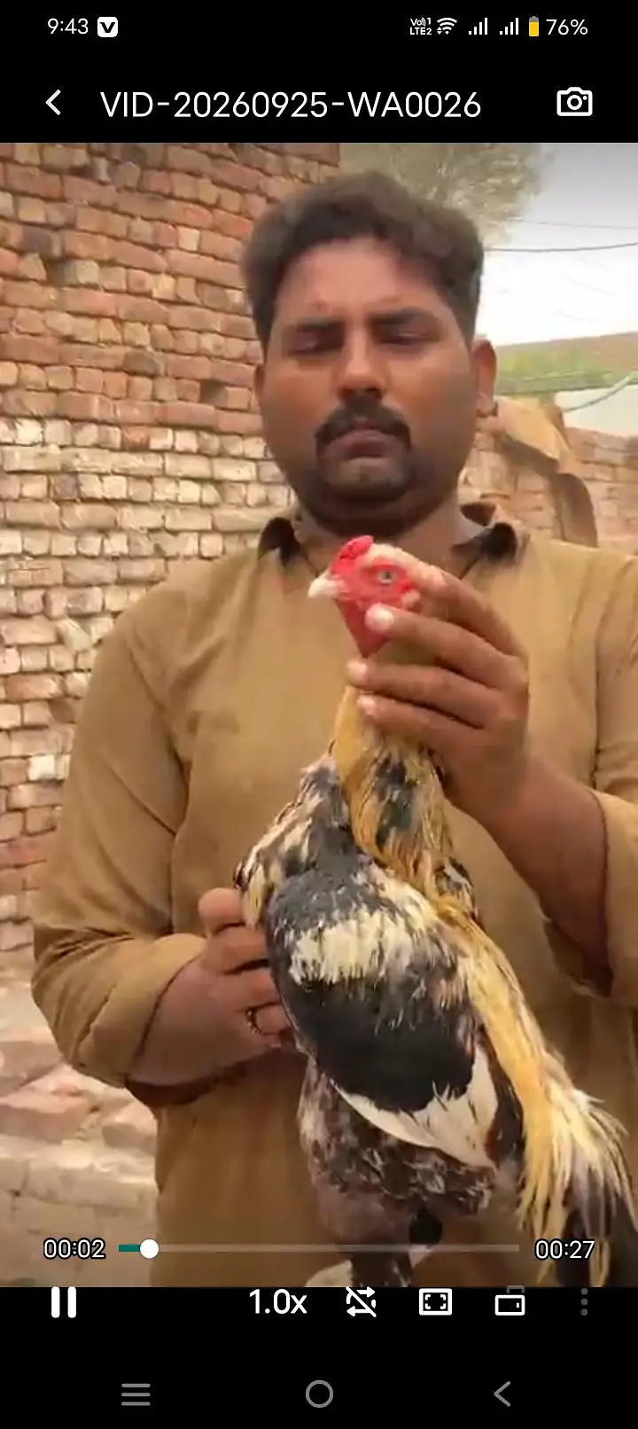 shujabad multan — photo 2