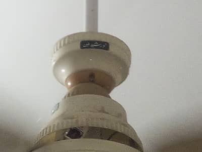 Fan for sell