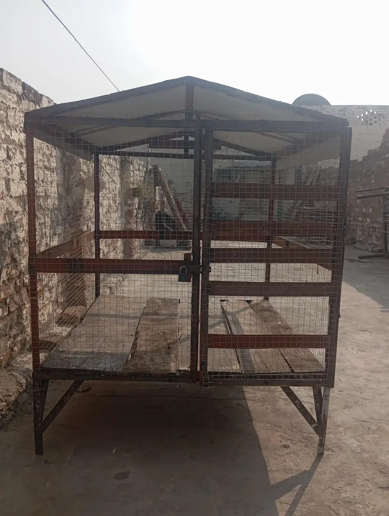 hen cage 3.5/3.5 foot length 3 foot  height — photo 2