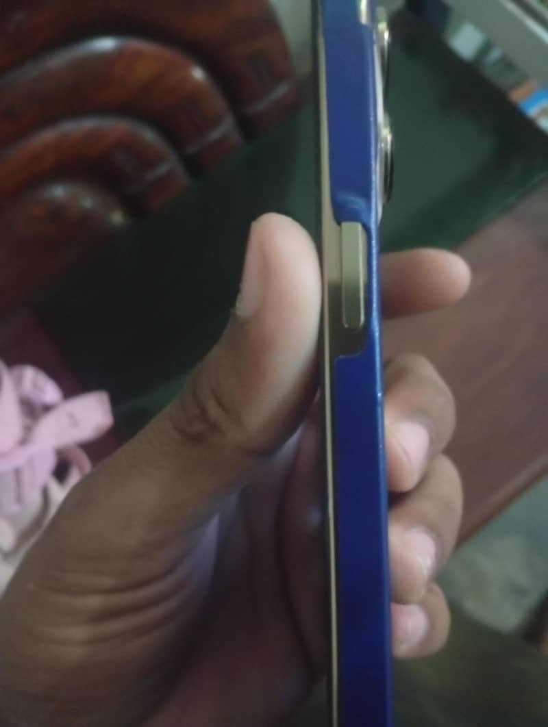 Apple iPhone 13 Pro Max 2
