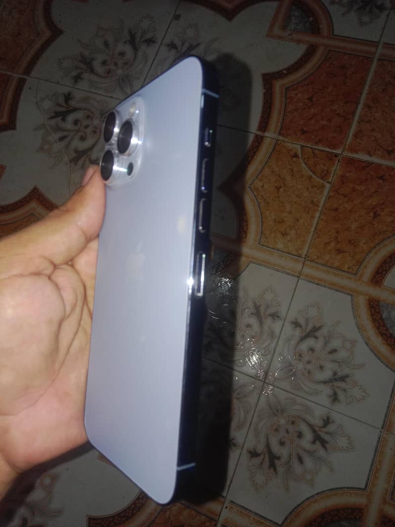Apple iPhone 13 Pro Max 1