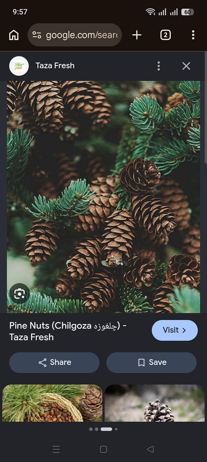 chalgozee 3