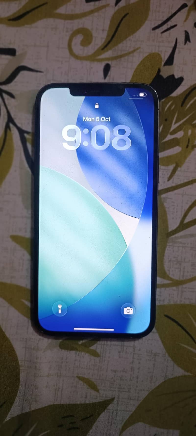 Apple iPhone 12 Pro Max 1