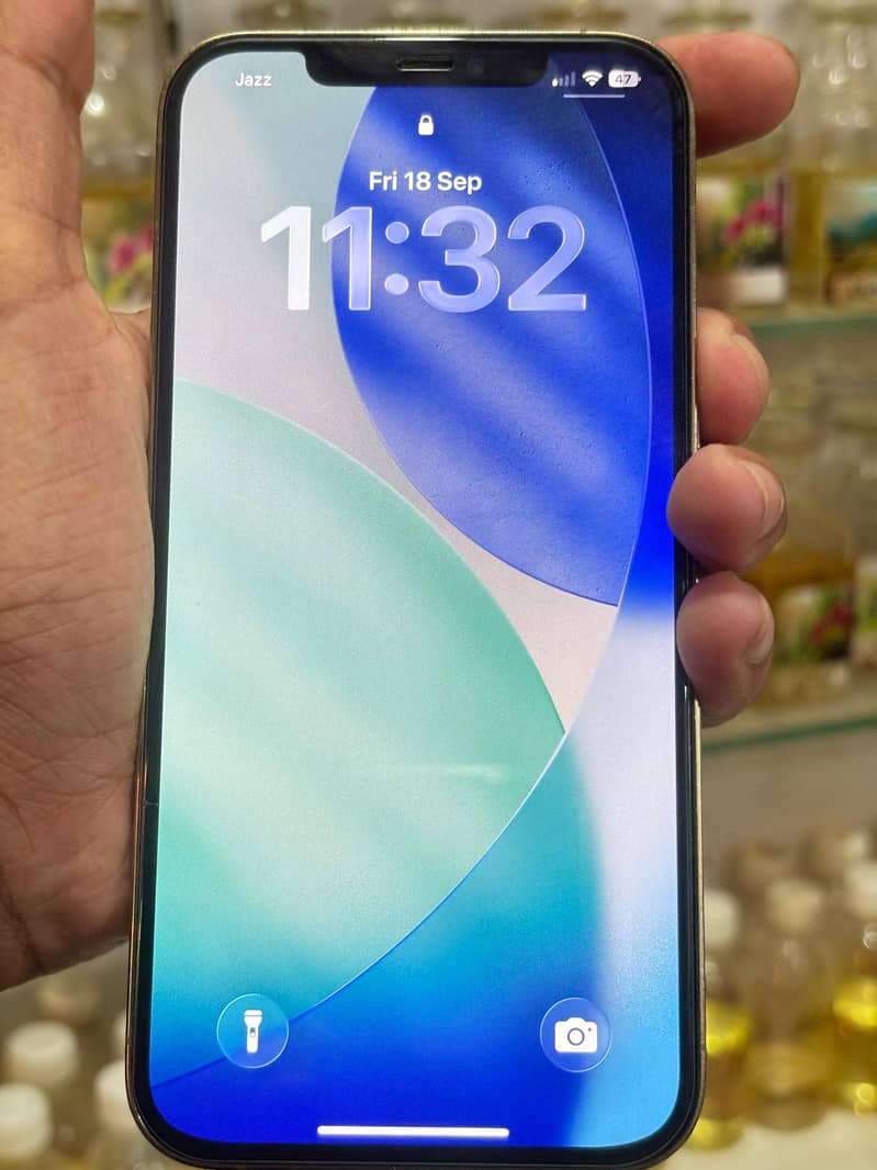 Apple iPhone 12 Pro Max 4