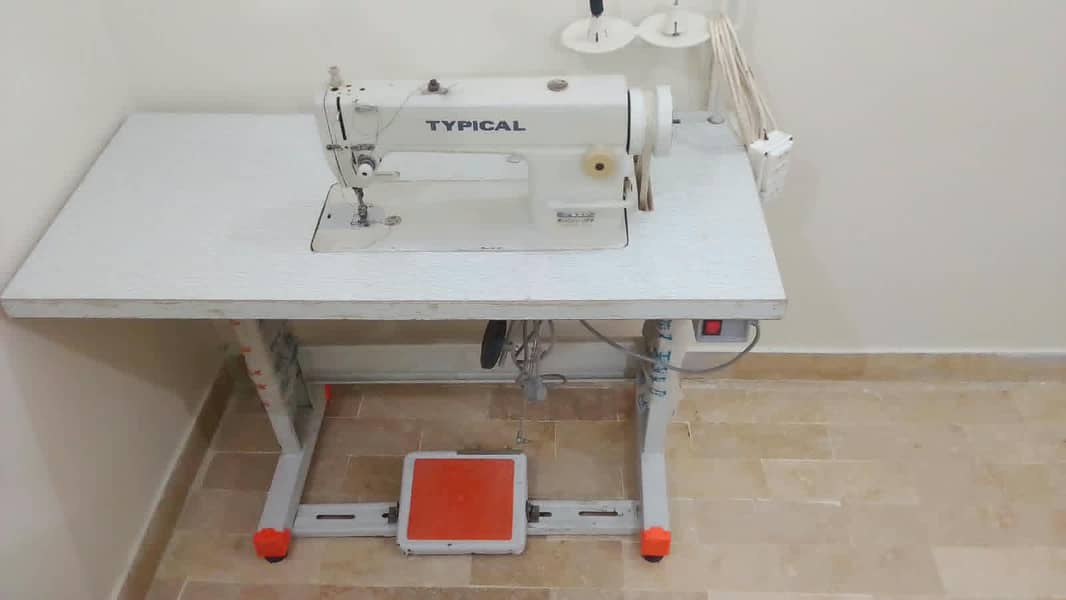 typicale 6