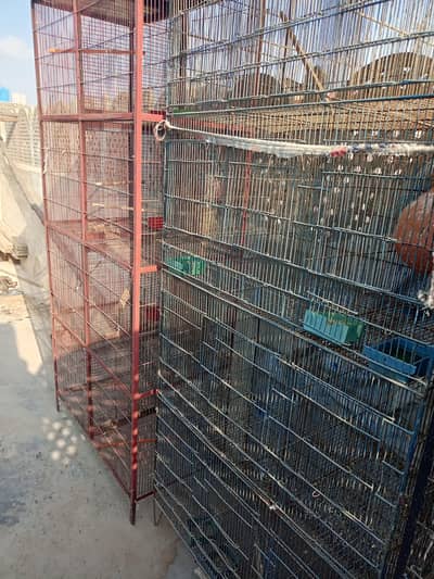 2 Cages with 8 portions.
