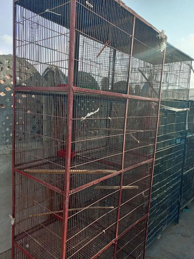 2 Cages with 8 portions. — photo 2