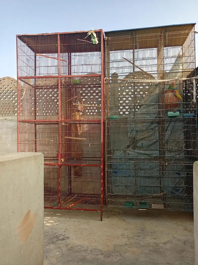 2 Cages with 8 portions. — photo 3