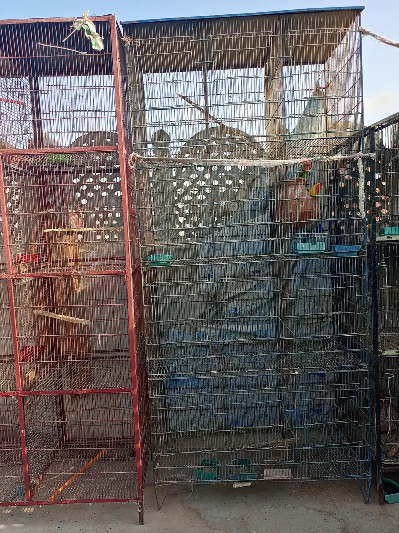 2 Cages with 8 portions. — photo 4