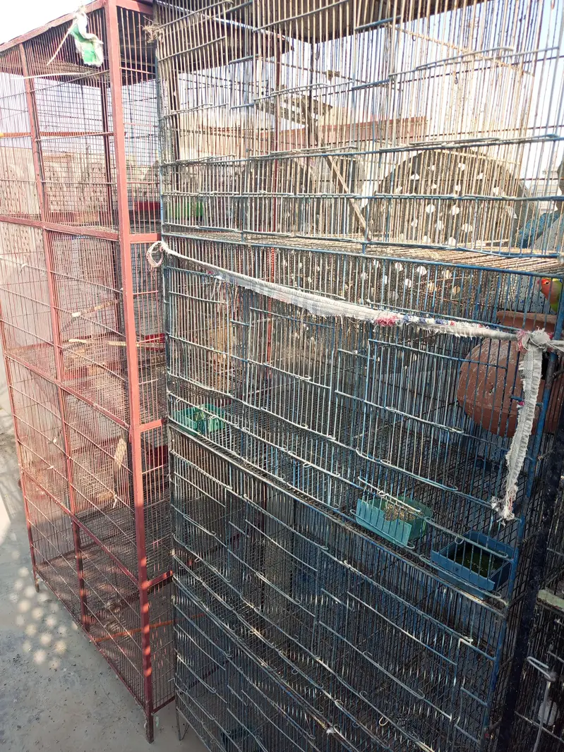 2 Cages with 8 portions. — photo 5