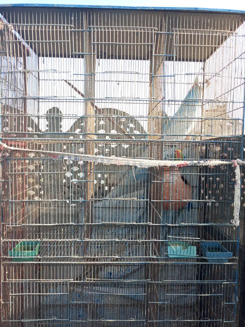 2 Cages with 8 portions. — photo 6