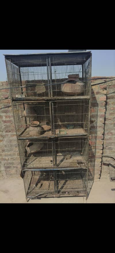 cage 4 sall