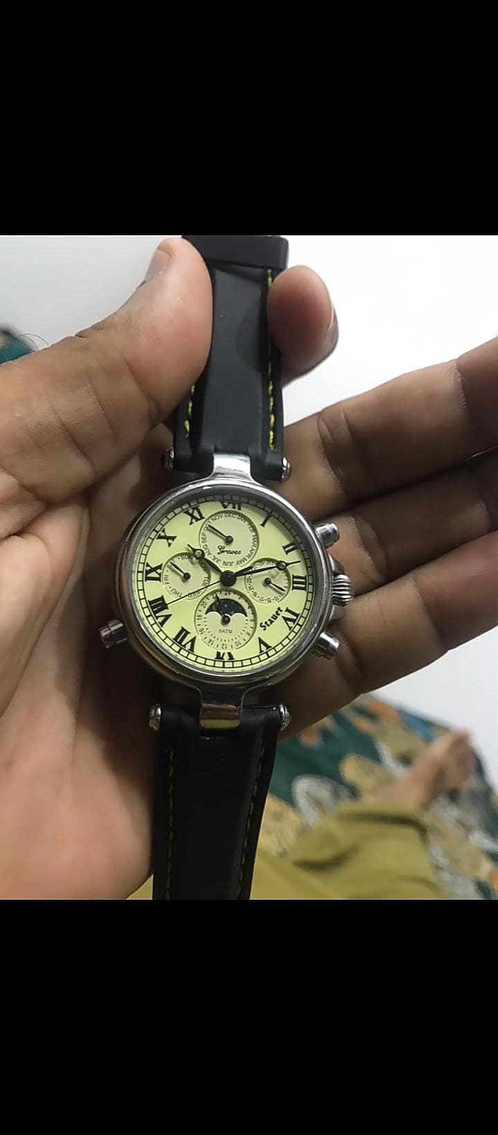 stauer watch 1