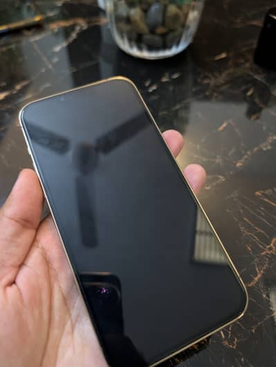 Apple iPhone 13 Pro Max PTA Approved 128 GB