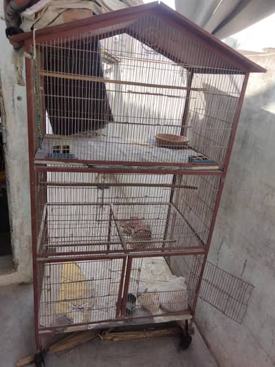 Birds Cages 3 by 2 fit stroon cages contact 03082346506 03133187913