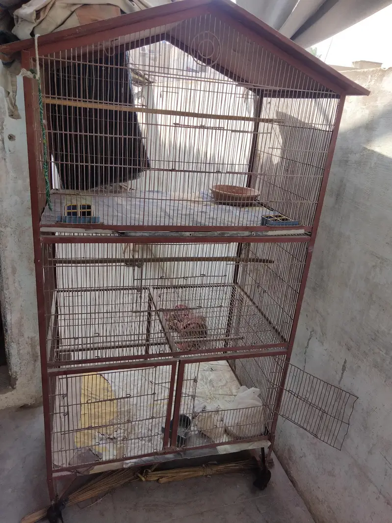 Birds Cages 3 by 2 fit stroon cages contact 03082346506 03133187913 — photo 2