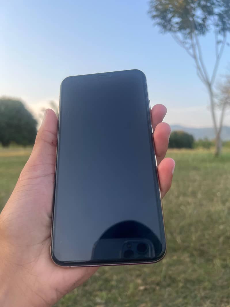 Apple iPhone XS Max 1