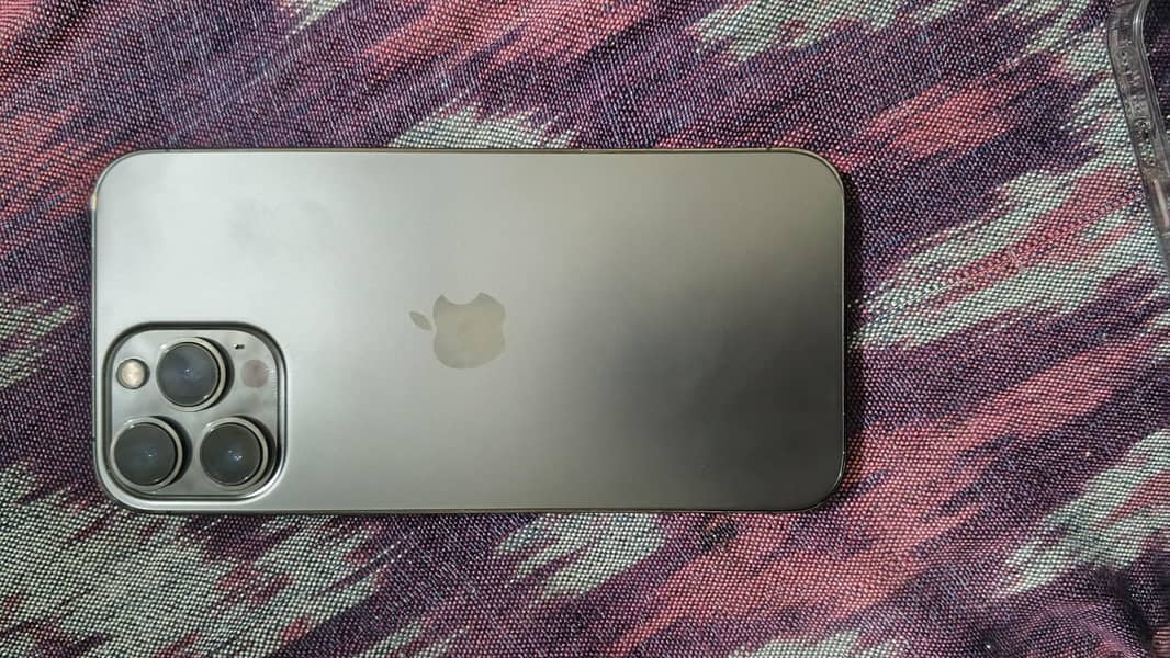 Apple iPhone 13 Pro Max 1