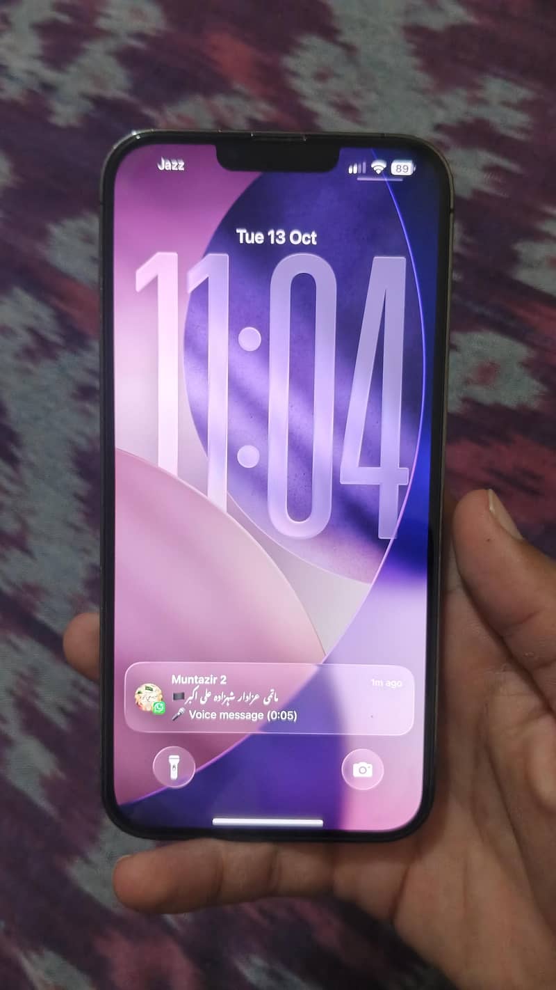 Apple iPhone 13 Pro Max 2