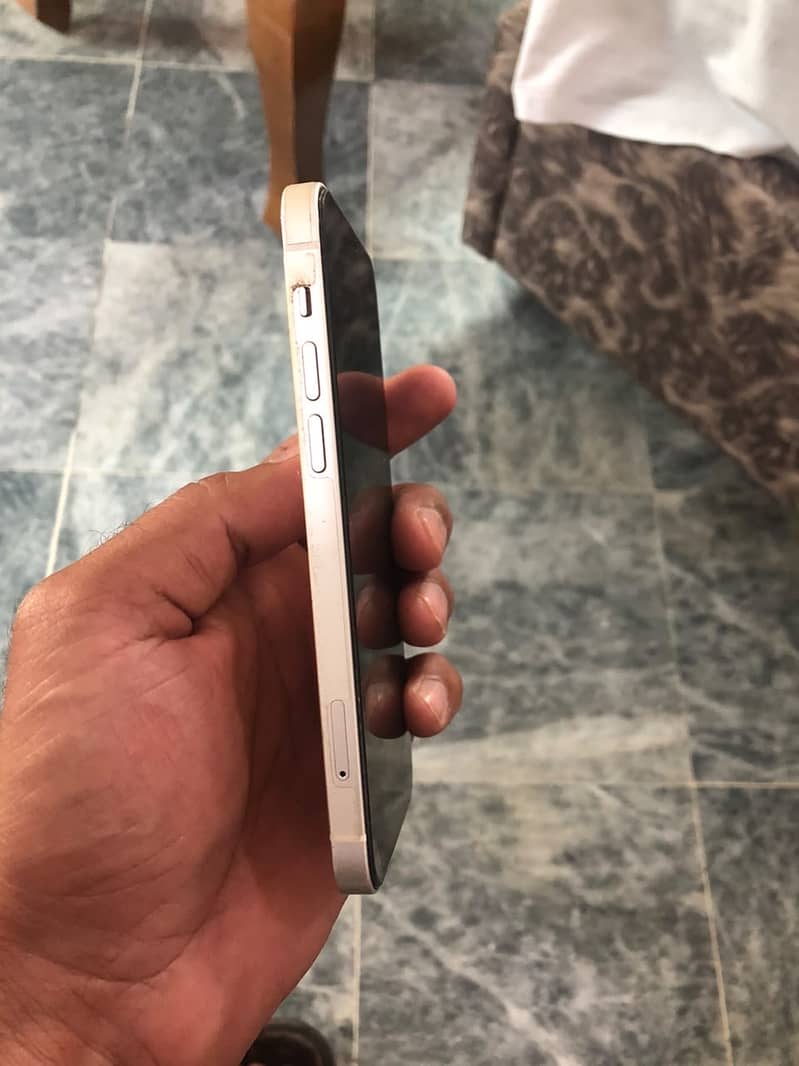 Apple iPhone 12 1