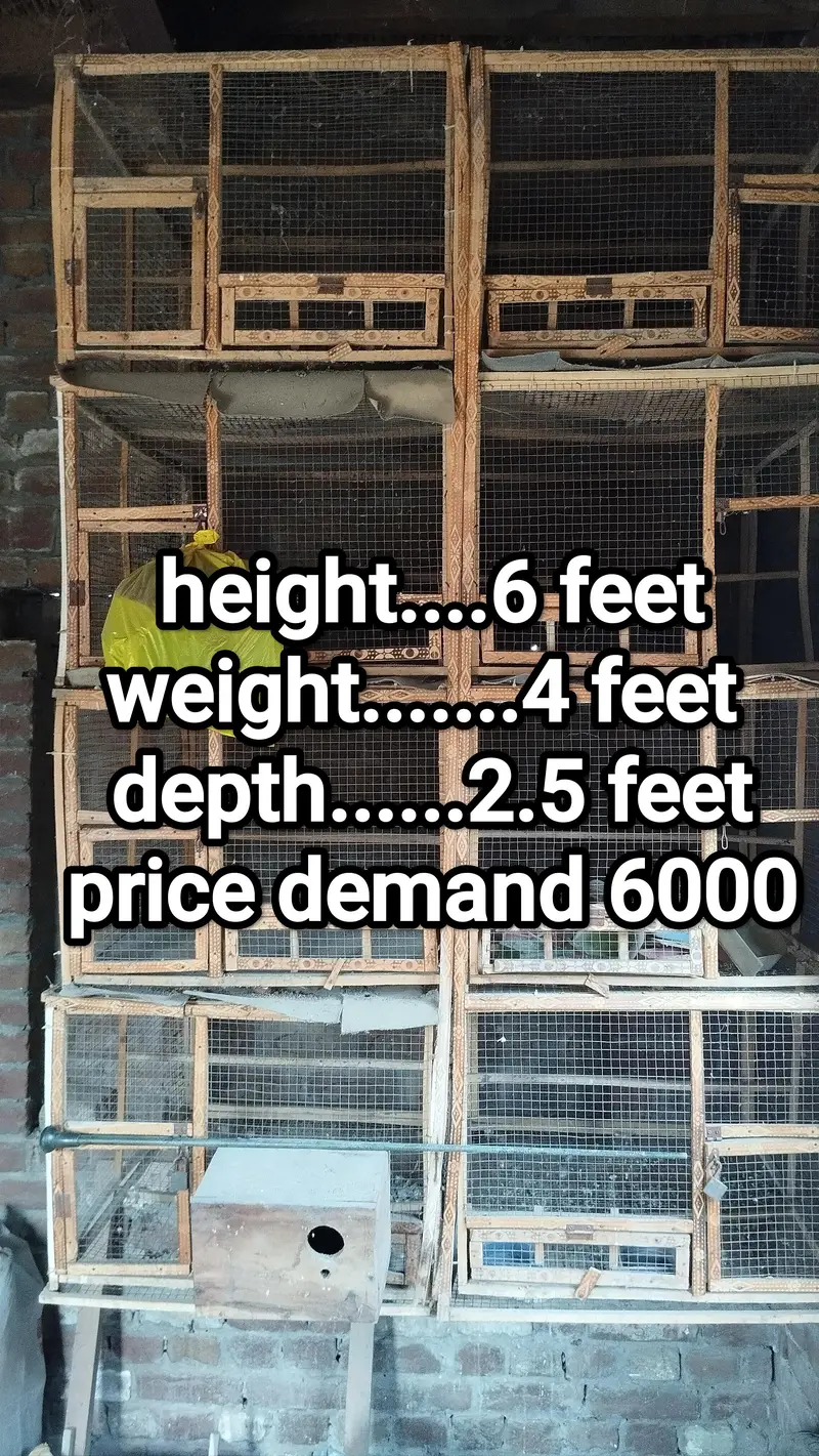 3 cages for birds & hens — photo 2