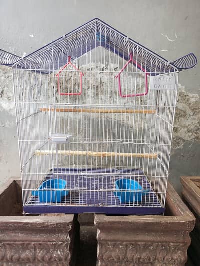 Birds Cage