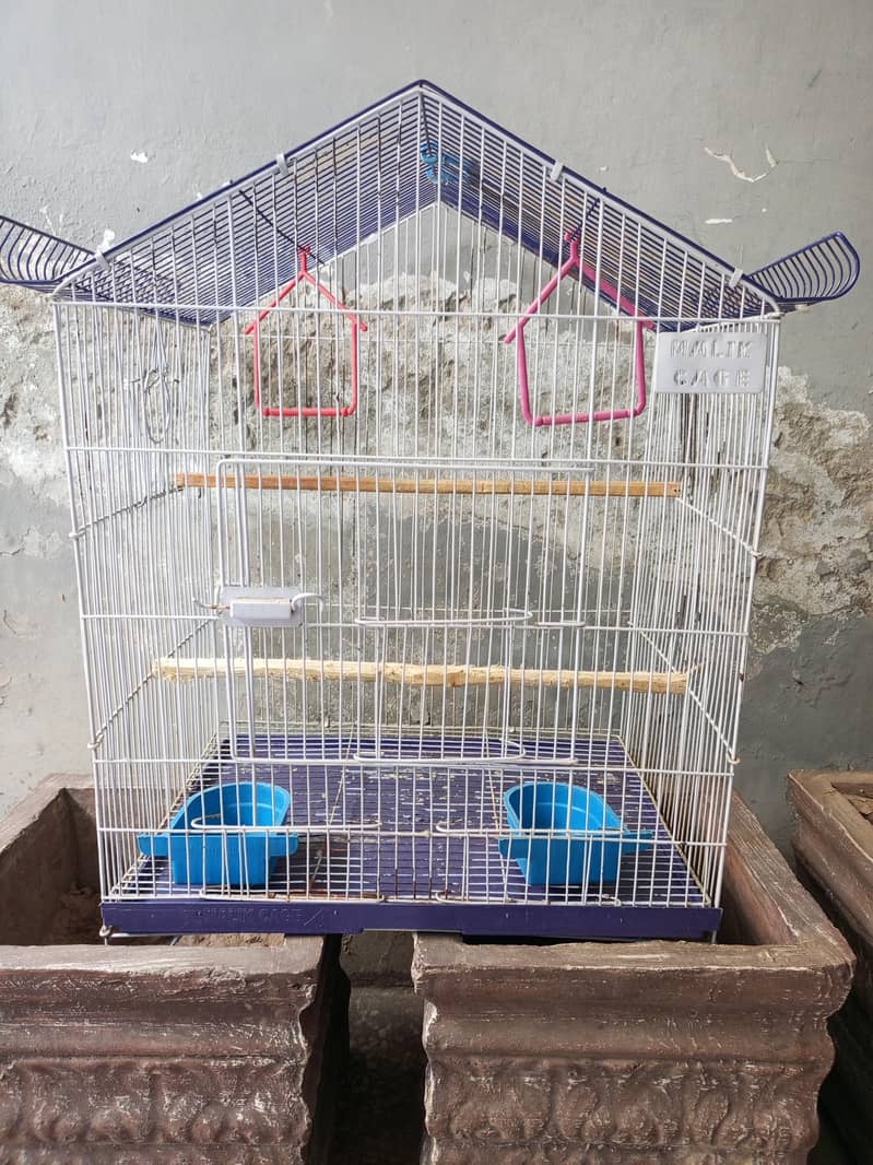Birds Cage 0