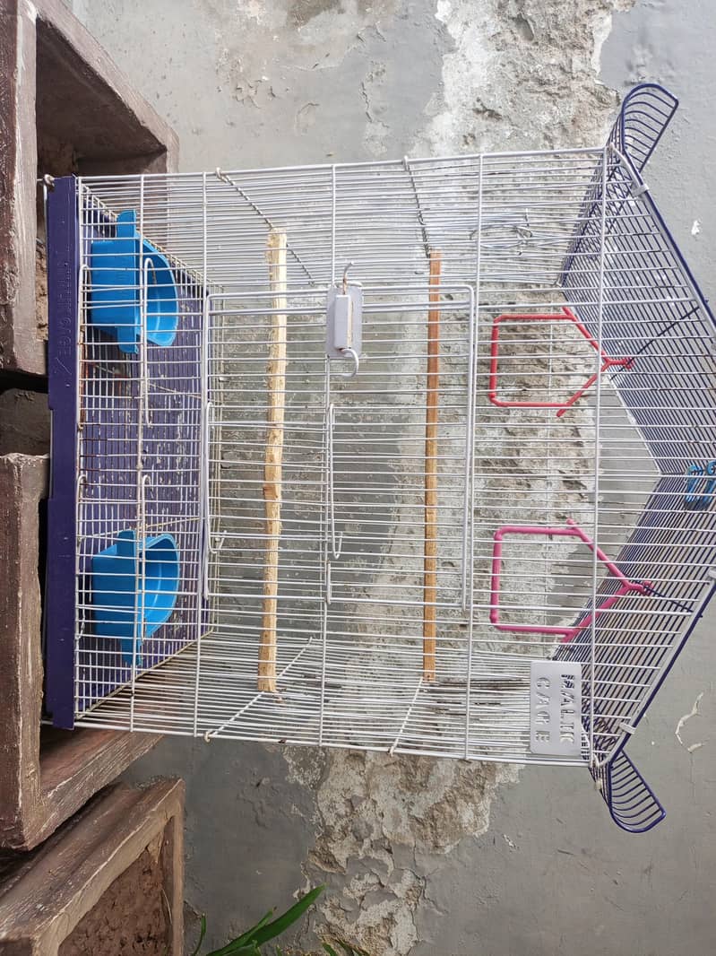 Birds Cage 1