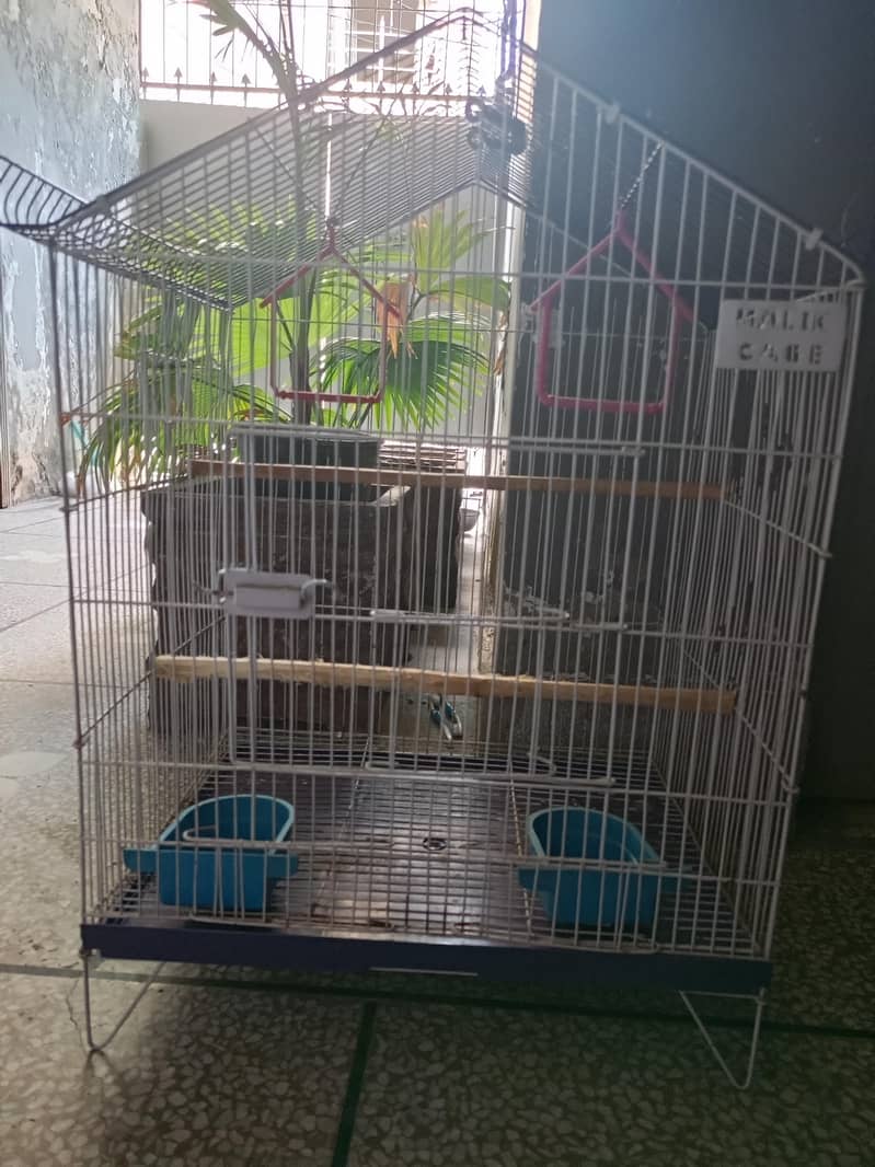 Birds Cage 2