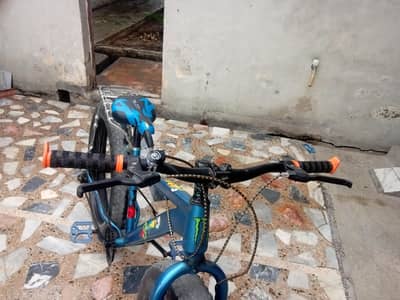 fat tyre bycycle