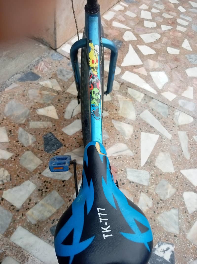 fat tyre bycycle 2