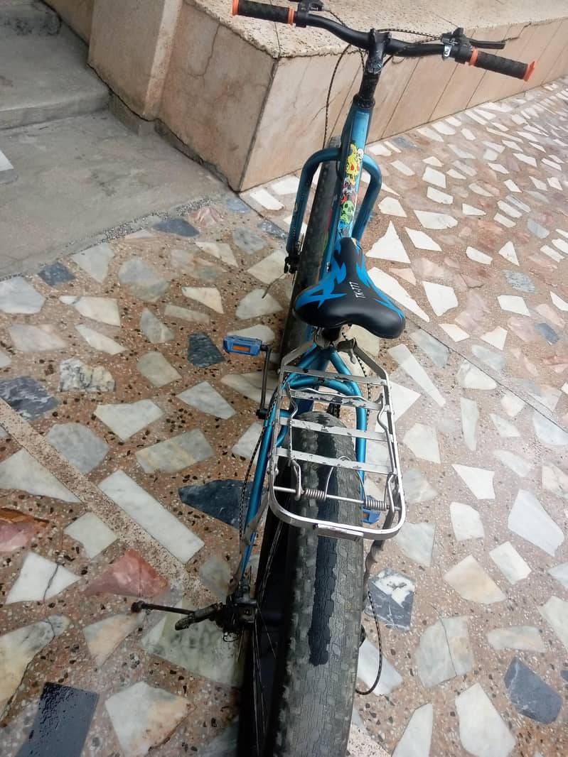 fat tyre bycycle 3
