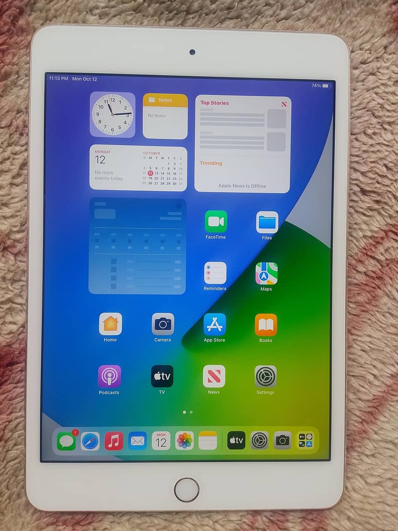 apple ipad mini 4 2