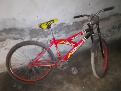 sport cycle