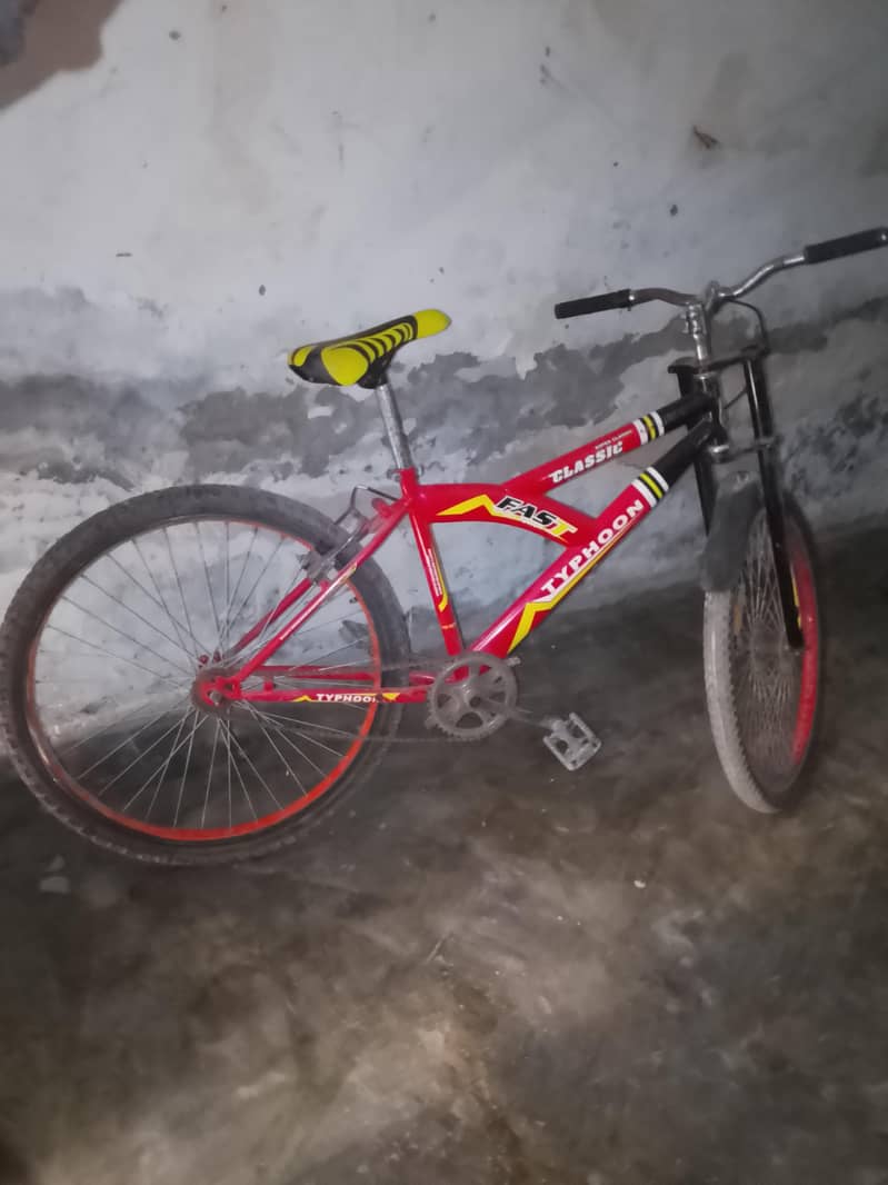 sport cycle 1