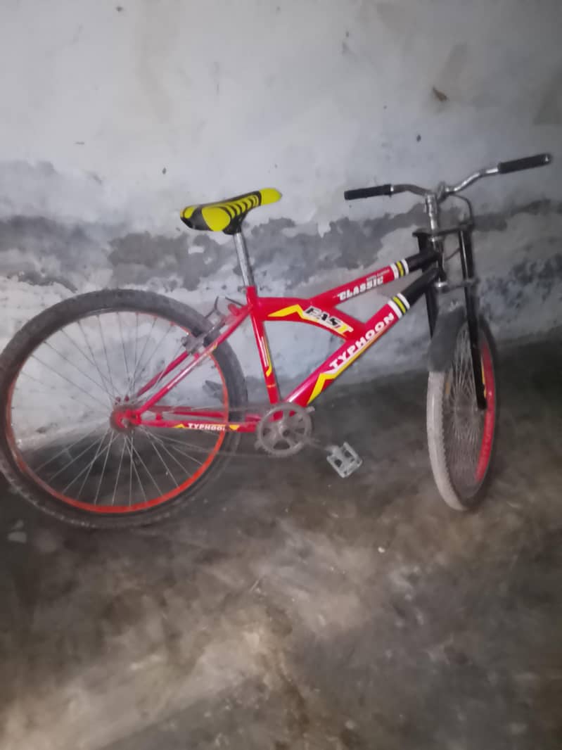 sport cycle 2