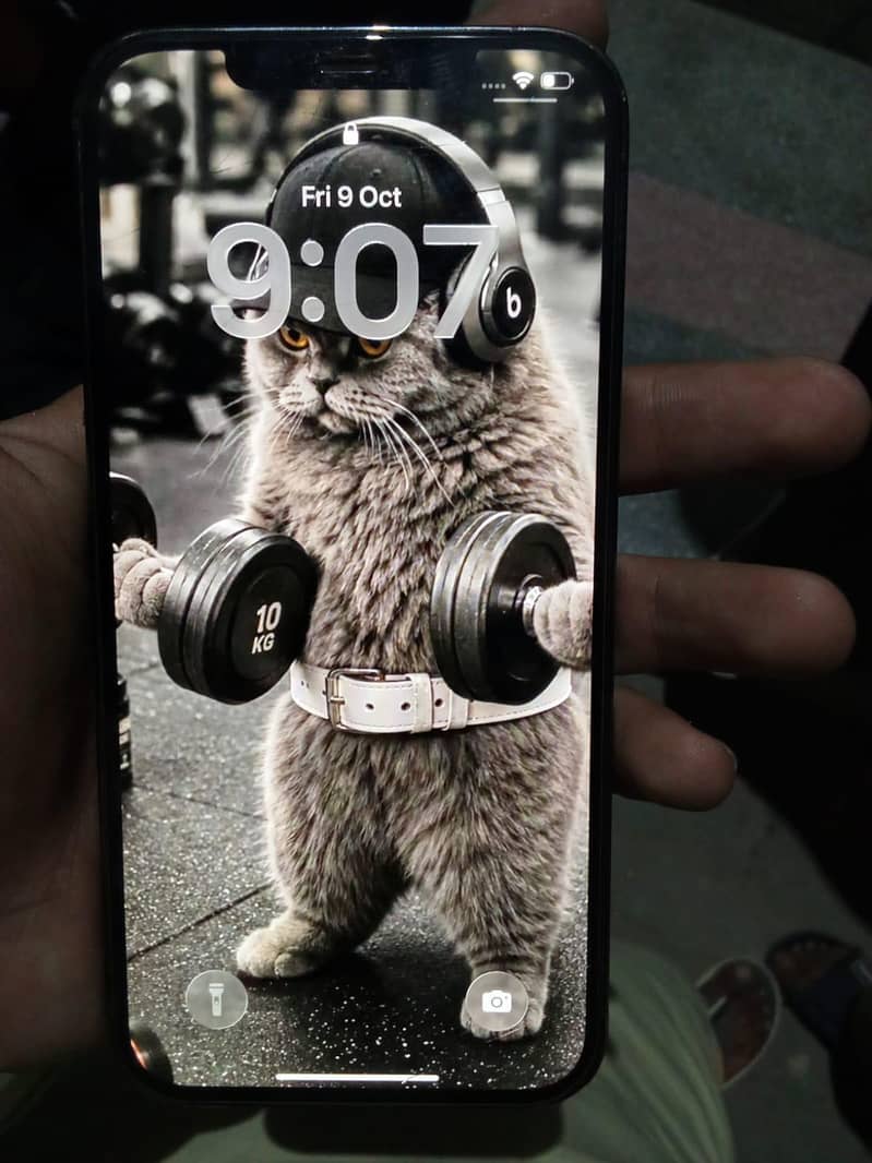 Apple iPhone 12 Pro Max 1