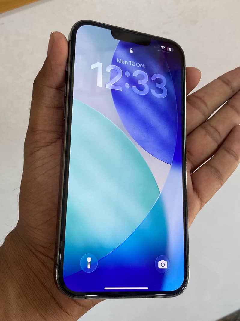Apple iPhone 13 Pro Max 4