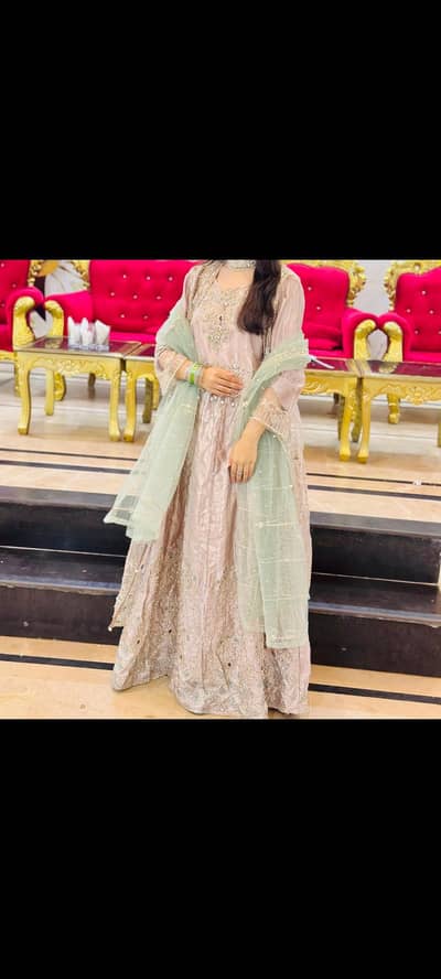 great stuff silk and net reasonable price