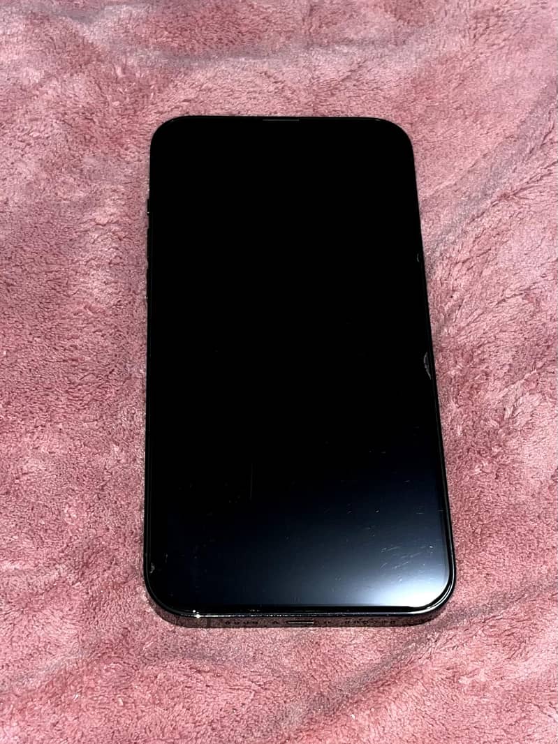 Apple iPhone 13 Pro Max 1