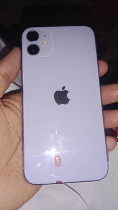 Apple iPhone 11