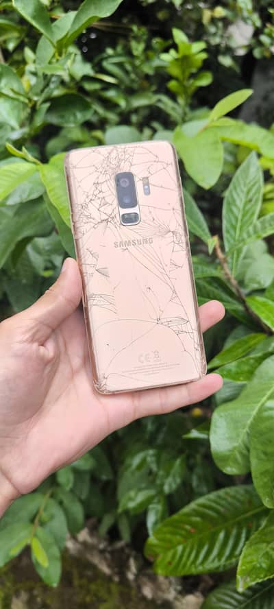 Samsung Mobile S9 Plus