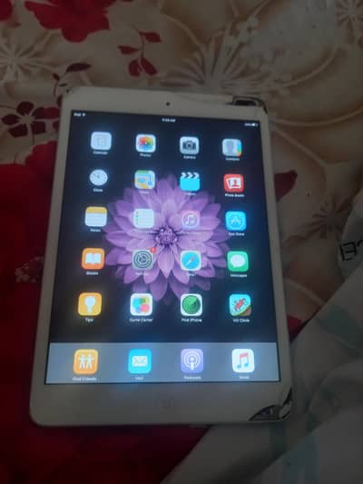 Apple iPhone Other Model