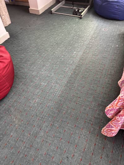 Used Room Carpet with Under Layer