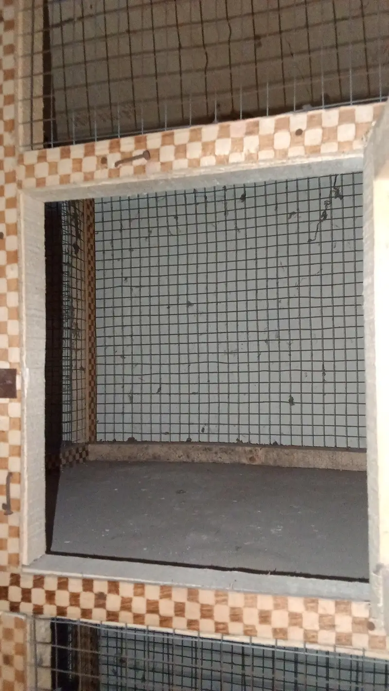 pinjra bilkul new hai kisi jaga say damige nhi hai0328-8186484 — photo 2