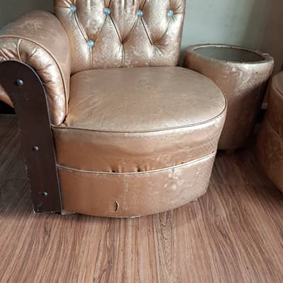 Sofa chairs for room