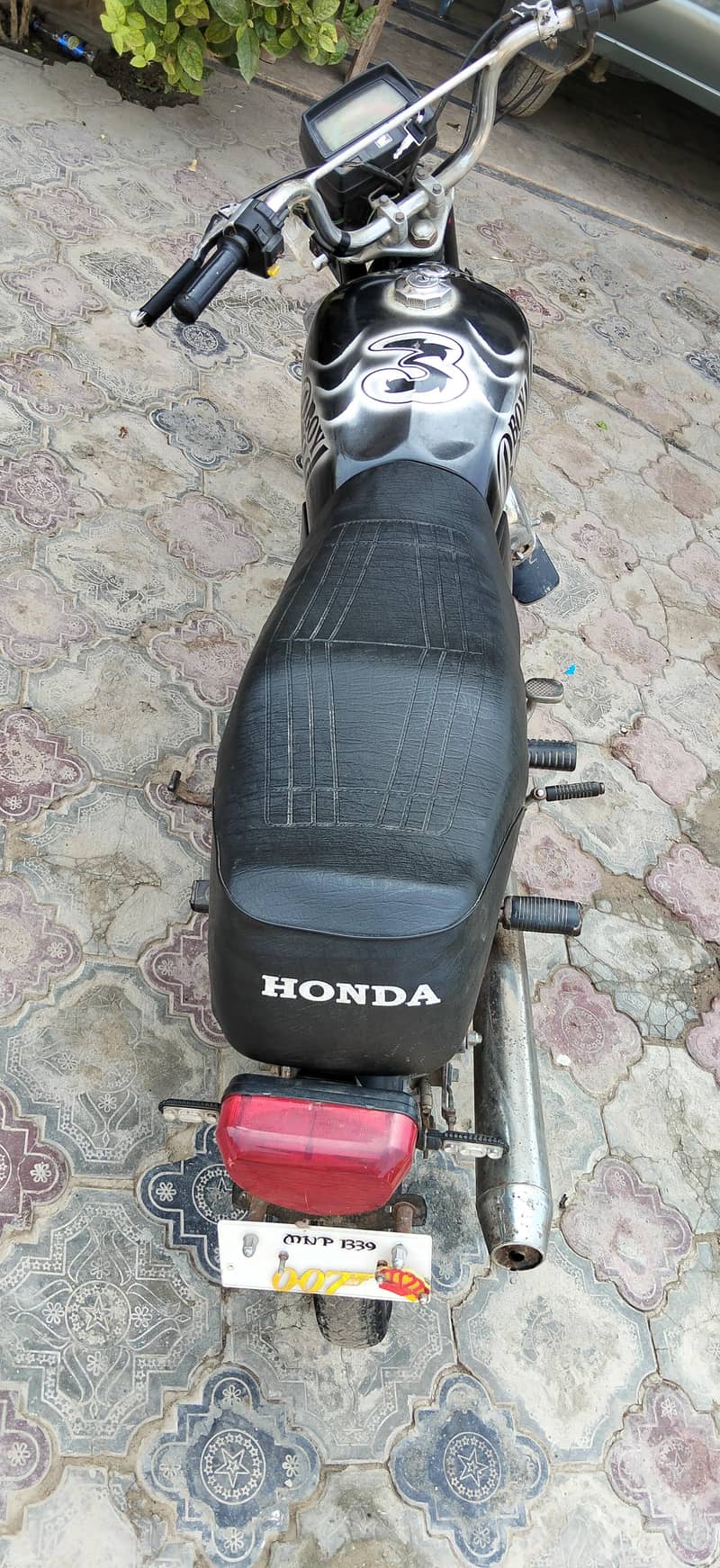 CD 70 modified 3